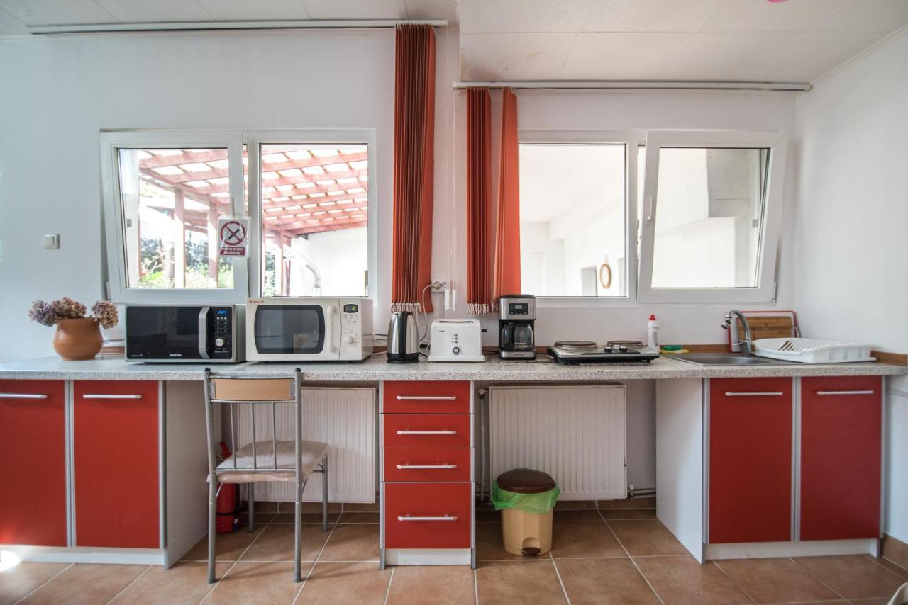 Transylvania Guest House Braşov Dış mekan fotoğraf